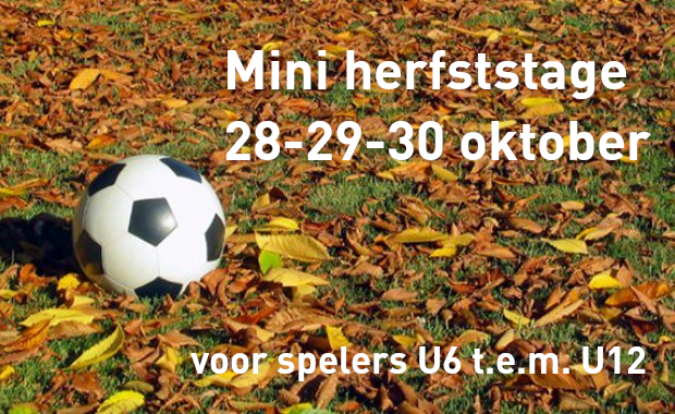 Ministage herfstvakantie 2024